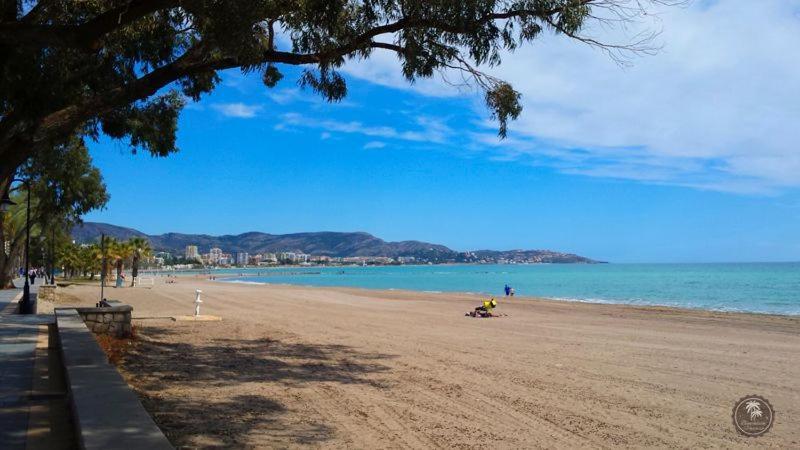Apartamentos Centro Benicasim Benicàssim Dış mekan fotoğraf